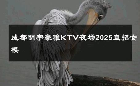 成都明宇豪雅KTV夜场2025直招女模 