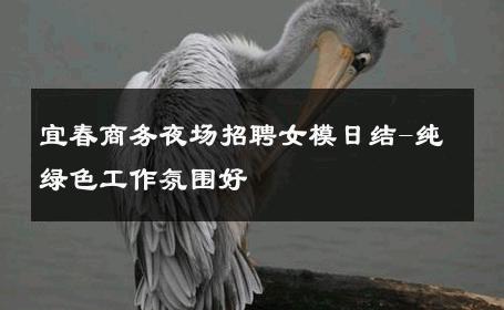 宜春商务夜场招聘女模日结-纯绿色工作氛围好 