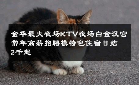 金华最大夜场KTV夜场白金汉宫常年高薪招聘模特包住宿日结2千起 