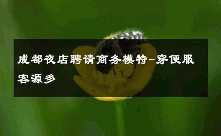 成都夜店聘请商务模特-穿便服客源多 