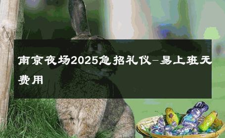 南京夜场2025急招礼仪-易上班无费用 
