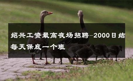 绍兴工资最高夜场招聘-2000日结每天保底一个班 