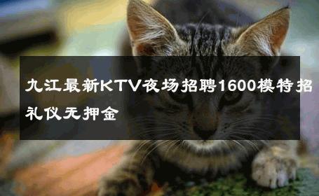 九江最新KTV夜场招聘1600模特招礼仪无押金 
