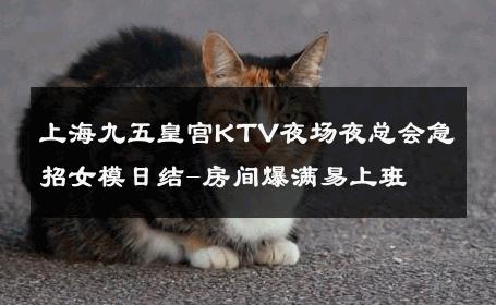 上海九五皇宫KTV夜场夜总会急招女模日结-房间爆满易上班 