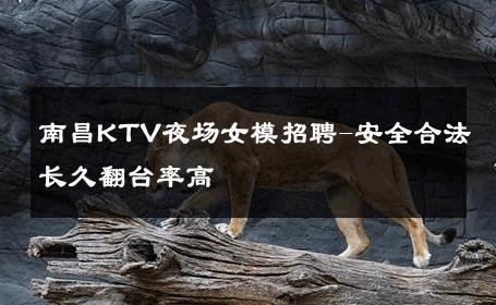 南昌KTV夜场女模招聘-安全合法长久翻台率高 