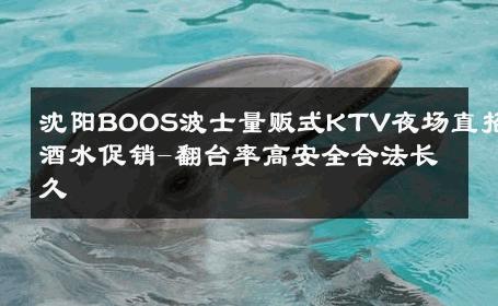 沈阳BOOS波士量贩式KTV夜场直招酒水促销-翻台率高安全合法长久 