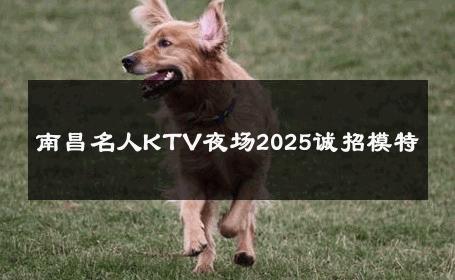 南昌名人KTV夜场2025诚招模特 