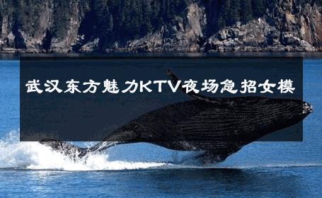 武汉东方魅力KTV夜场急招女模 