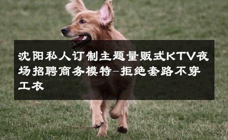 沈阳私人订制主题量贩式KTV夜场招聘商务模特-拒绝套路不穿工衣 