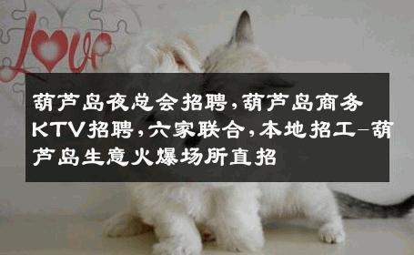 葫芦岛夜总会招聘,葫芦岛商务KTV招聘,六家联合,本地招工-葫芦岛生意火爆场所直招