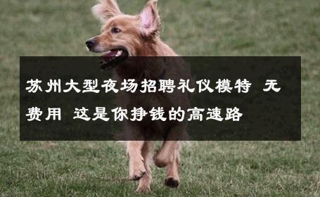苏州大型夜场招聘礼仪模特 无费用 这是你挣钱的高速路 