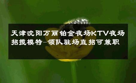 天津沈阳万丽铂金夜场KTV夜场招揽模特-领队驻场直招可兼职 