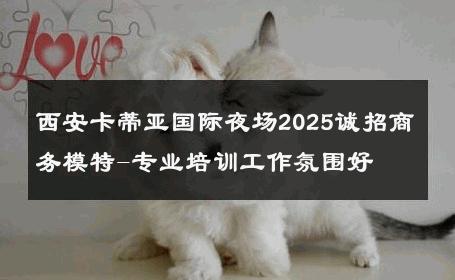 西安卡蒂亚国际夜场2025诚招商务模特-专业培训工作氛围好 