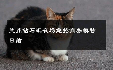 兰州钻石汇夜场急招商务模特日结 