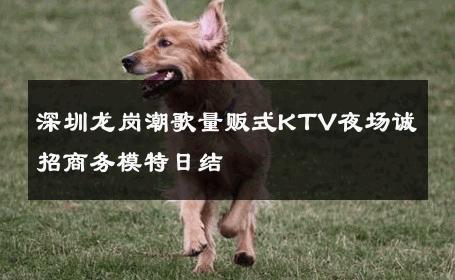 深圳龙岗潮歌量贩式KTV夜场诚招商务模特日结 