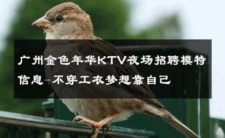广州金色年华KTV夜场招聘模特信息-不穿工衣梦想靠自己 