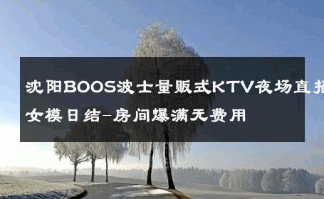 沈阳BOOS波士量贩式KTV夜场直招女模日结-房间爆满无费用 