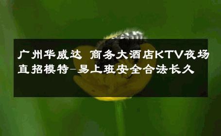 广州华威达 商务大酒店KTV夜场直招模特-易上班安全合法长久 