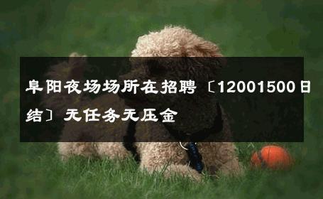 阜阳夜场场所在招聘〔12001500日结〕无任务无压金 