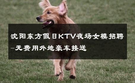 沈阳东方假日KTV夜场女模招聘-无费用外地豪车接送 