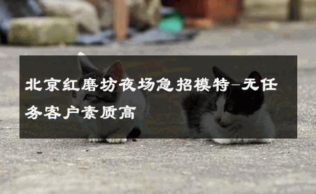 北京红磨坊夜场急招模特-无任务客户素质高 