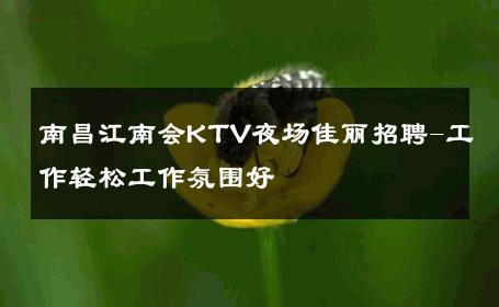 南昌江南会KTV夜场佳丽招聘-工作轻松工作氛围好 