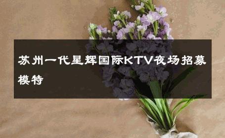 苏州一代星辉国际KTV夜场招募模特 