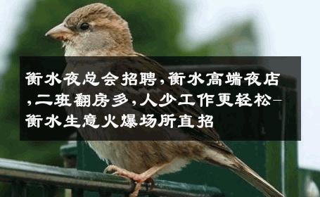 衡水夜总会招聘,衡水高端夜店,二班翻房多,人少工作更轻松-衡水生意火爆场所直招