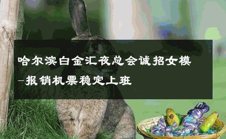 哈尔滨白金汇夜总会诚招女模-报销机票稳定上班 