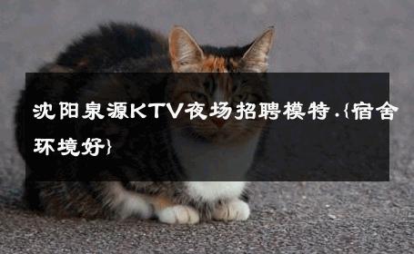 沈阳泉源KTV夜场招聘模特.{宿舍环境好} 