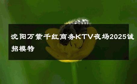 沈阳万紫千红商务KTV夜场2025诚招模特 