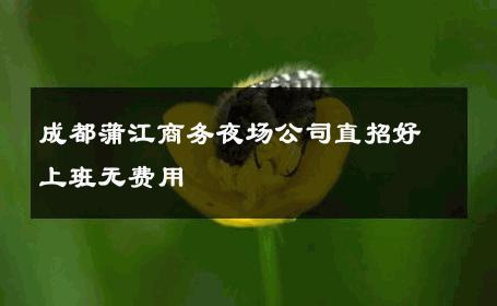 成都蒲江商务夜场公司直招好上班无费用 