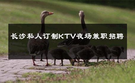 长沙私人订制KTV夜场兼职招聘 