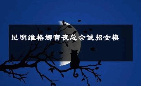 昆明维格娜宫夜总会诚招女模 