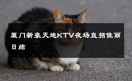 厦门新豪天地KTV夜场直招佳丽日结 