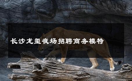 长沙龙玺夜场招聘商务模特 