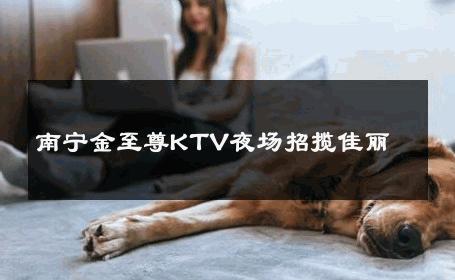 南宁金至尊KTV夜场招揽佳丽 