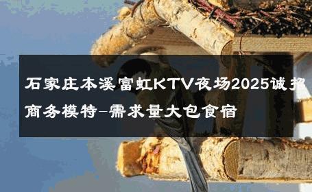 石家庄本溪富虹KTV夜场2025诚招商务模特-需求量大包食宿 