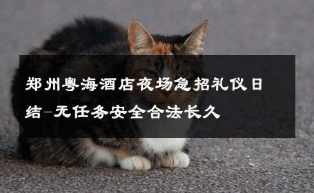 郑州粤海酒店夜场急招礼仪日结-无任务安全合法长久 