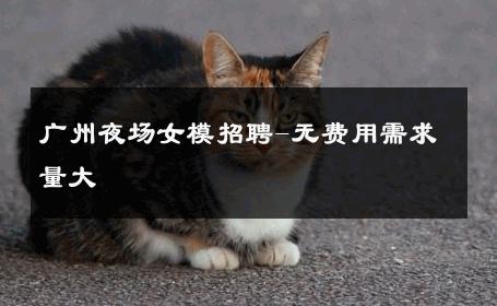 广州夜场女模招聘-无费用需求量大 