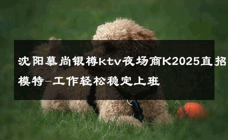 沈阳慕尚银樽ktv夜场商K2025直招模特-工作轻松稳定上班 