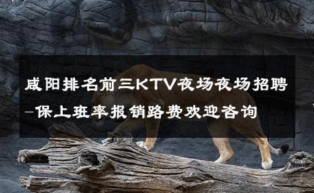 咸阳排名前三KTV夜场夜场招聘-保上班率报销路费欢迎咨询 