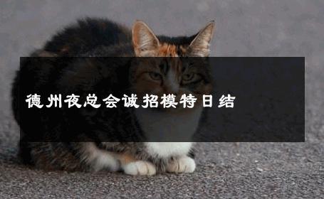 德州夜总会诚招模特日结 