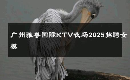 广州雅尊国际KTV夜场2025招聘女模 