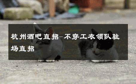 杭州酒吧直招-不穿工衣领队驻场直招 