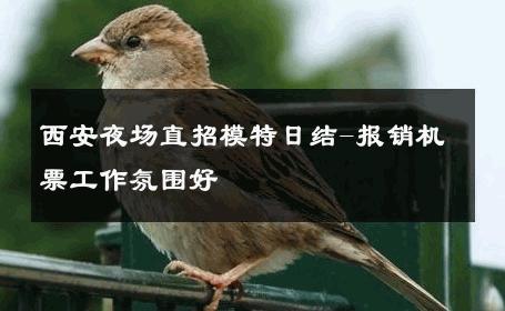 西安夜场直招模特日结-报销机票工作氛围好 