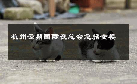 杭州云鼎国际夜总会急招女模 