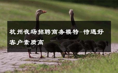 杭州夜场招聘商务模特-待遇好客户素质高 