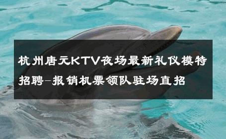 杭州唐元KTV夜场最新礼仪模特招聘-报销机票领队驻场直招 