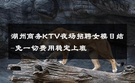 湖州商务KTV夜场招聘女模日结-免一切费用稳定上班 